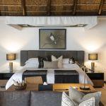 Hippo Pilanesberg