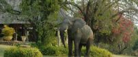 Even cheaper lodges will still get you very close to the animals.