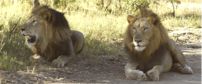 Mkuze Falls Game Reserve