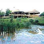 Zululand Tree Lodge2