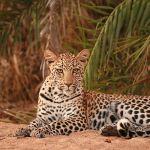 Exeter River Private Game Lodge2