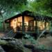 Phinda Forest Lodge