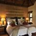 Stay 3 Nights On Safari and get 3 FREE nights at a hotel