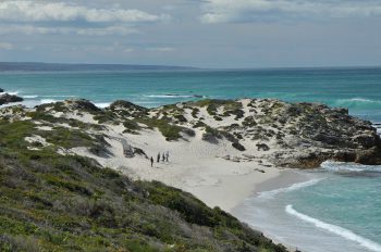 De Hoop Nature Reserve