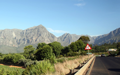 Driving in through the beautiful winelands of South Africa