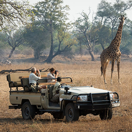 Game drives can get you incredibly close to the wildlife...