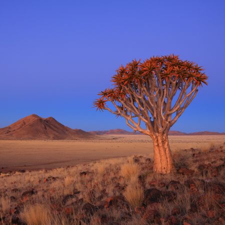 Namibia Visitor Facts | Driving | Climate | Visas | Currency | Medical