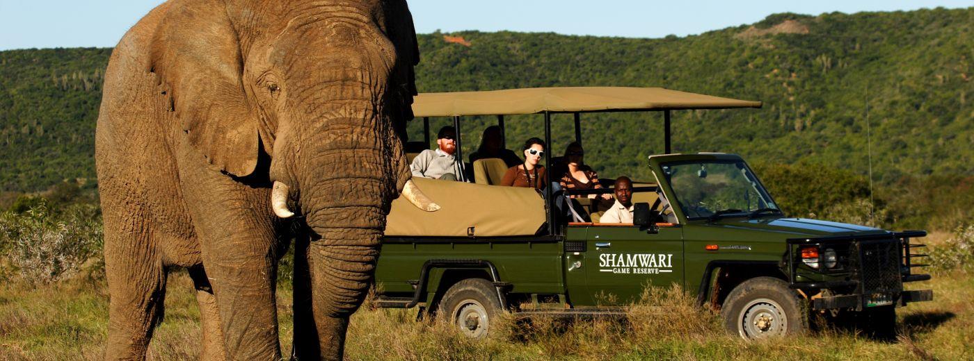 Eastern Cape Safaris | Malaria-Free | Big 5