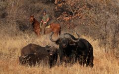 Alternative Safaris in Southern and East Africa