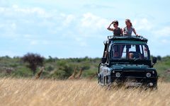 Your Kenyan Safari Experience