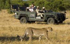 South Africa Safari Special Offers