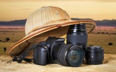 What to Take on Safari