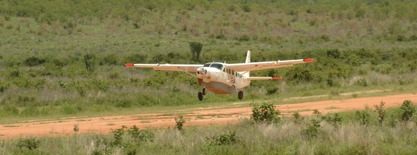 Tanzania Northern Circuit Luxury Fly-In Safari and Beach