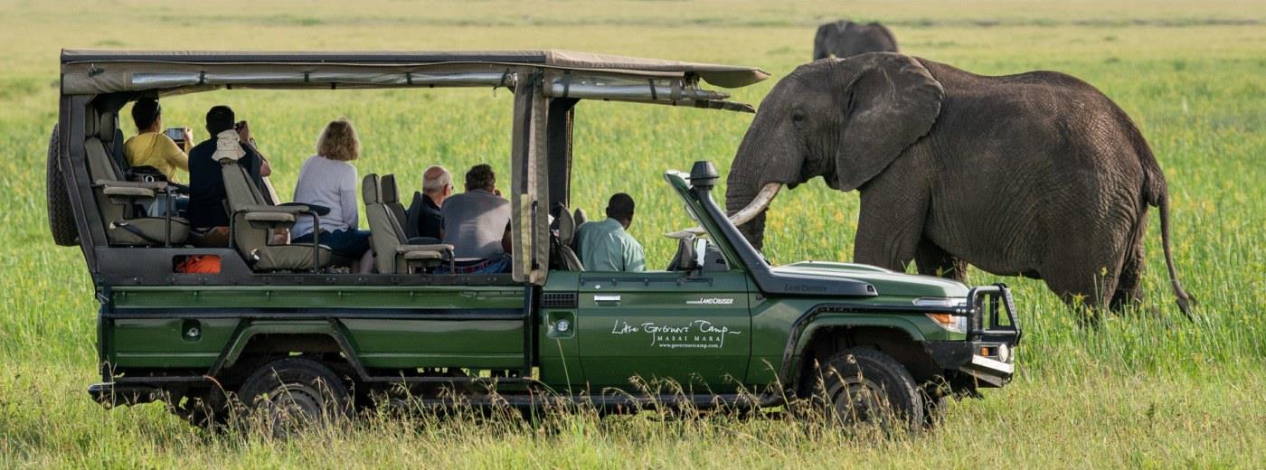 Your Kenyan Safari Experience