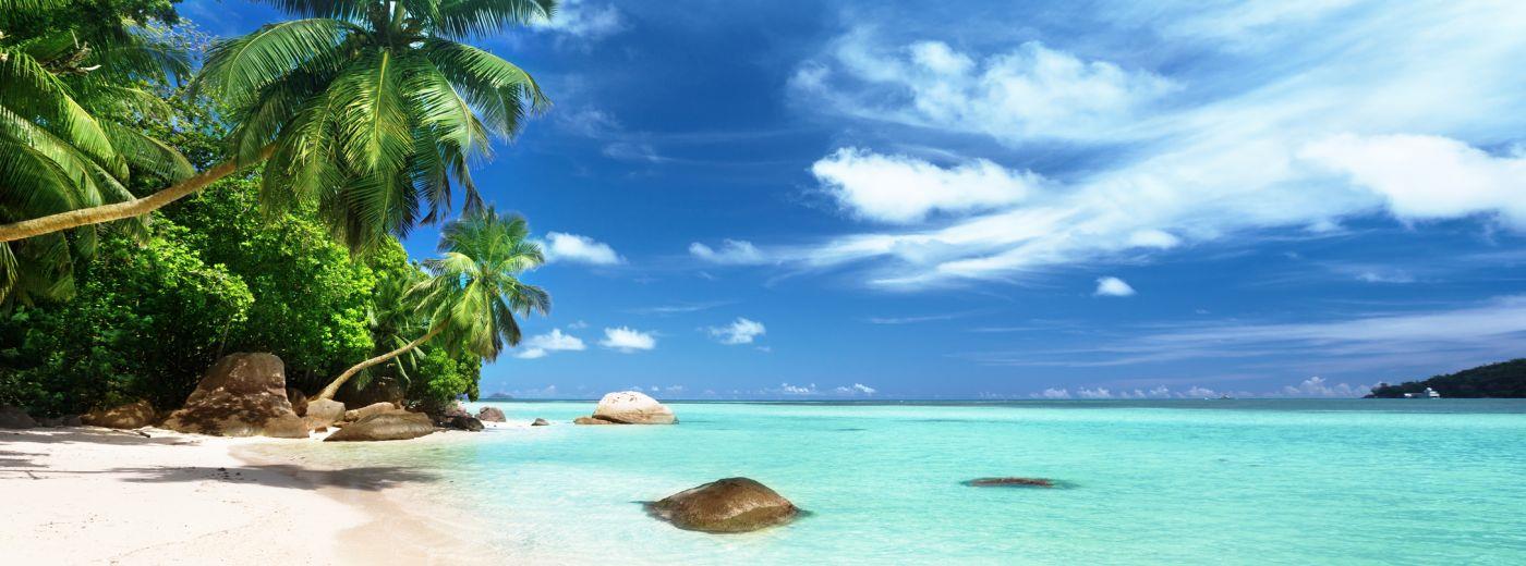 The Exotic Seychelles
