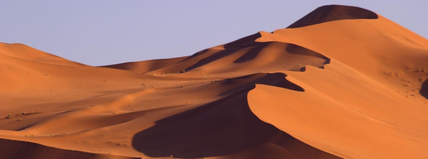 Dune 45 under a clear blue sky near Sossusvlei, Namibia