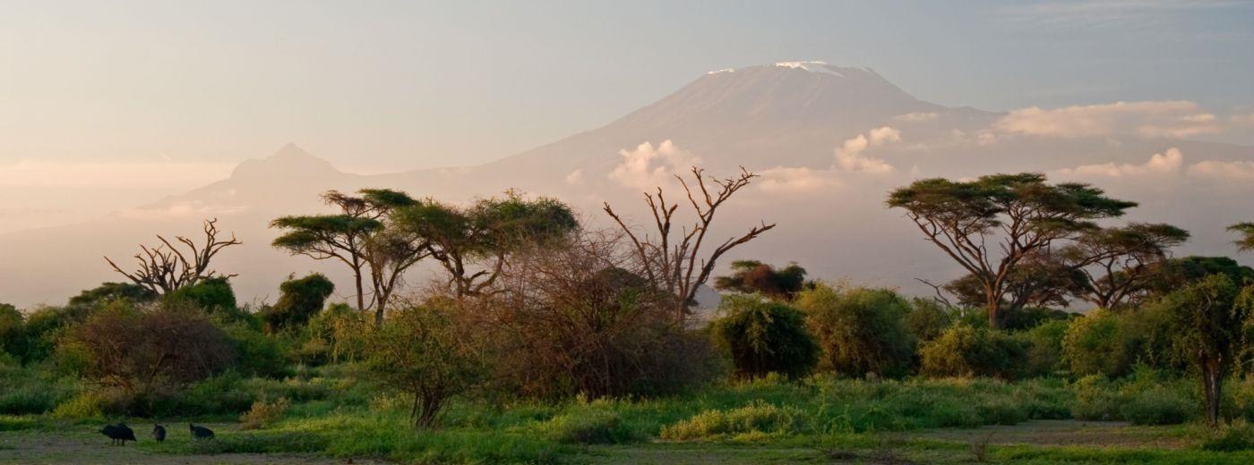 Mount Meru Hotel