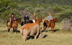 ITINERARY-01964: Alternative Wildlife Experiences in South Africa