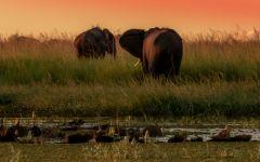 ITINERARY-02677: 4 Night Victoria Falls and Chobe Getaway