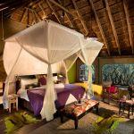 Jacis Safari Lodge: Stay 3 nights for the price of  2