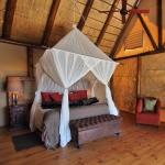 Amakhala Bush Lodge: Stay 3 nights for the price of  2
