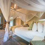 Kambaku Safari Lodge: Honeymoon Offer