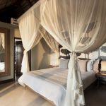 Mhondoro Game Lodge: Stay 4 nights for the price of  3