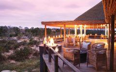 Londolozi Founders Camp