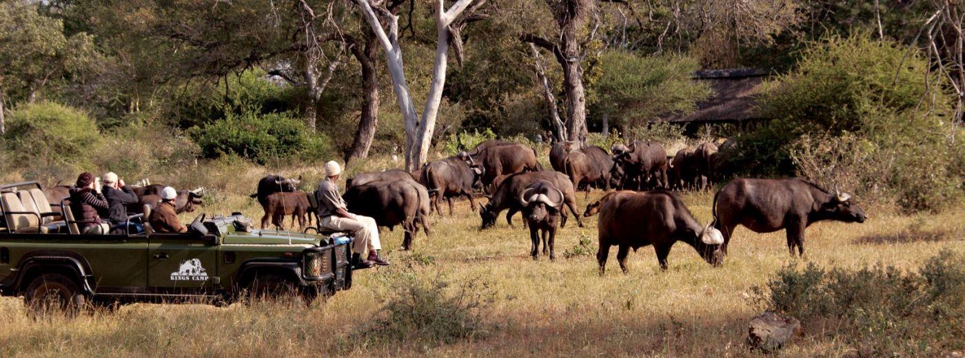Luxury Kruger Safari and Seychelles