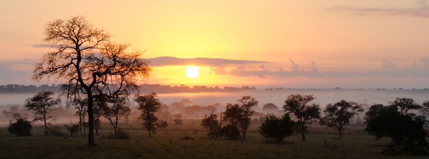 Sabi Sabi Little Bush Camp