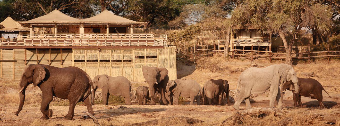 Savute Elephant Lodge
