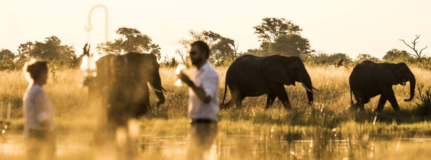 An Unrivalled Botswana Safari