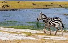 Amboseli National Park