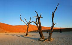 Sossusvlei